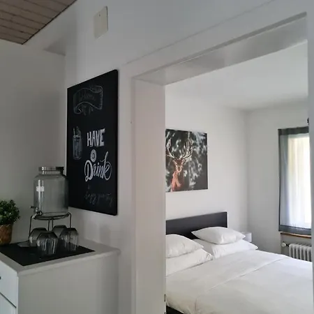 2 Bedroom - Kingsize Bett - Garten - Parken - Kueche Apartamento Zurique